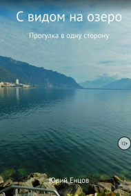 Юрий Енцов читать онлайн С видом на озеро