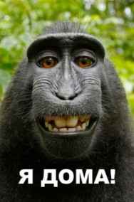 JonnMor читать онлайн Я ДОМА !!!