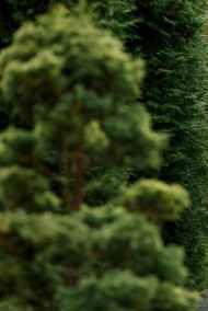 Галина Холмогорова читать онлайн Когда в мире только двое...