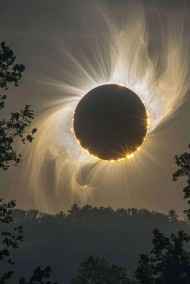 Велес читать онлайн Странные времена. Чужая земля.