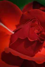 Натали Якобсон - На балу у демонов