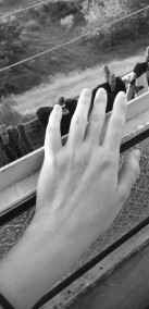 Улыбающийся Лис читать онлайн Пикник на граните