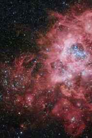 Данилов Василий Алексеевич читать онлайн Хаос-Мен: Падение.