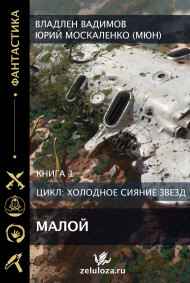 Владлен Вадимов читать онлайн Малой. Книга первая