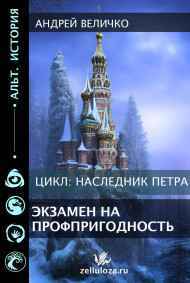 Андрей Величко читать онлайн Экзамен на профпригодность