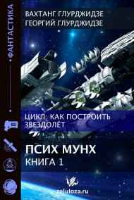 Вахтанг Глурджидзе читать онлайн КАК ПОСТРОИТЬ ЗВЕЗДОЛЕТ — Книга 1. ПСИХ МУНХ