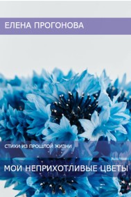 Мои неприхотливые цветы