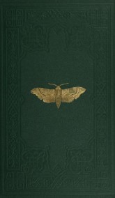 Криспо читать онлайн Тестовый Сборник Случайностей (Тест2)