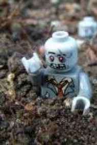 А это точно перерождение?