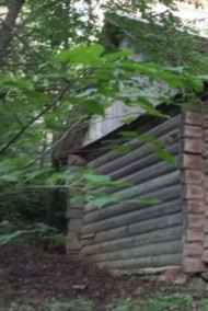 Дом с запахом смерти