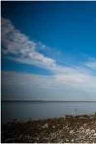 Ольга Демина - Дитя моря. Сентиментальный роман