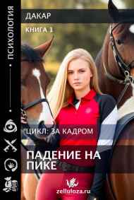 Дакар - Падение на пике