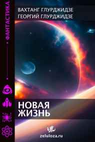 Георгий Глурджидзе читать онлайн Новая жизнь