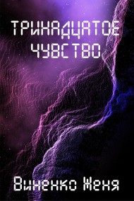 Женя Виненко читать онлайн Тринадцатое чувство