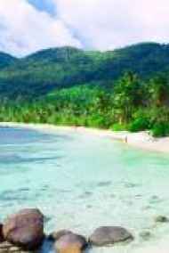 Анатолий Шинкин читать онлайн Инфантил