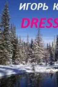 Игорь Коркин читать онлайн DRESS - КОД