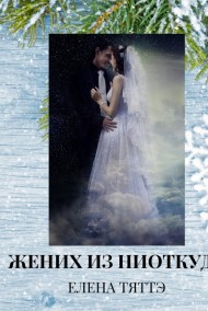 Елена Тяттэ читать онлайн Жених из ниоткуда