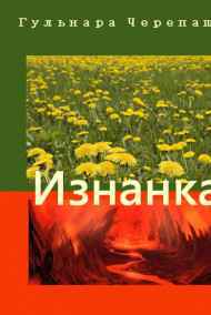 Гульнара Черепашка читать онлайн Изнанка