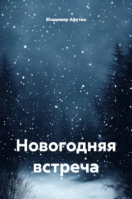 Обложка книги Новогодняя встреча