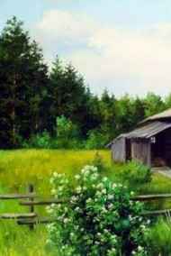 Татьяна Боровенская читать онлайн Вологжанка, история русской женщины