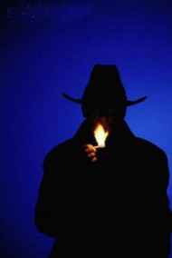 Гений сыска