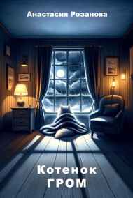 Анастасия Розанова читать онлайн Котенок Гром
