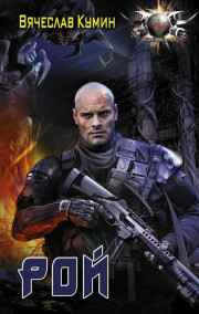 Вячеслав Кумин - РОЙ