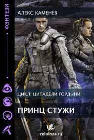 Алекс Каменев читать онлайн Цитадели гордыни 4. Ярость Стихий