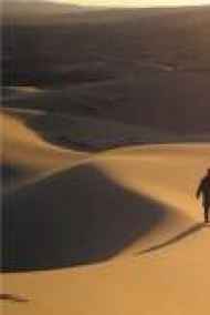 Шаров Константин Викторович читать онлайн Одиночка