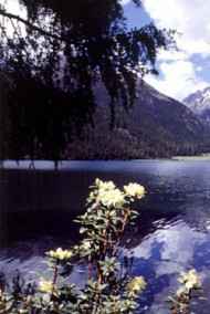 Гость-59898 - Книга об этике