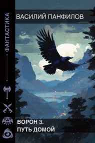 Василий Панфилов читать онлайн Ворон 3. Путь домой