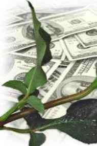 Елена Пчелка читать онлайн Пеннинг: история страсти и успеха. Часть 1. Восхождение.