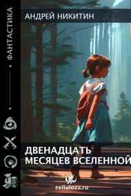 Андрей Никитин читать онлайн Двенадцать месяцев вселенной