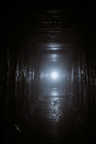 Иммунитет шума