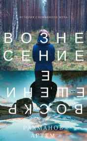 Рахманов Артем (BrokenSword) читать онлайн Вознесение и Воскрешение ЛитРПГ