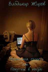 VladimirJhirov читать онлайн «Мгновенная страсть или попутчик в поезде»