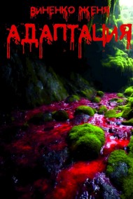 Женя Виненко читать онлайн Адаптация