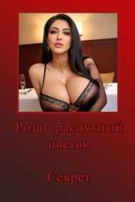 Евгений Разум читать онлайн Секрет секса