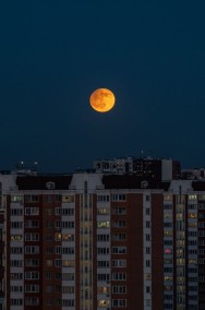 Анастасия Комарова читать онлайн Тишина