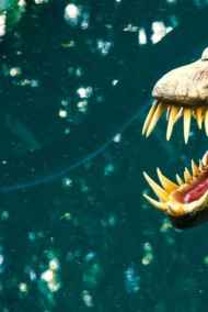 Мансуров Андрей читать онлайн Грозный дракон.