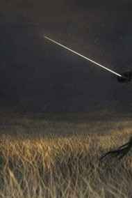 Rastain читать онлайн Посланник всевидящего Неба