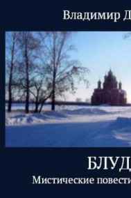 Владимир Дулга читать онлайн Блуд