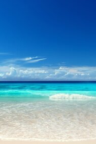 Татьяна Минасян читать онлайн ХХХ