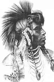 Ирина Андрианова - Сабинянские воины