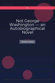 Not George Washington — an Autobiographical Novel