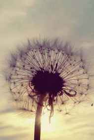 Сюхён читать онлайн День, цветная вечность