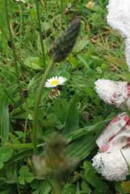 Татьяна Боровенская читать онлайн Сказки для детей