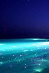 Анатолий Штольц читать онлайн Мальдивы