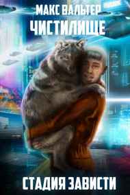 Макс Вальтер читать онлайн Стадия Зависти