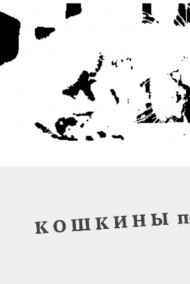 Диана Пшибиева читать онлайн Кошкины повести